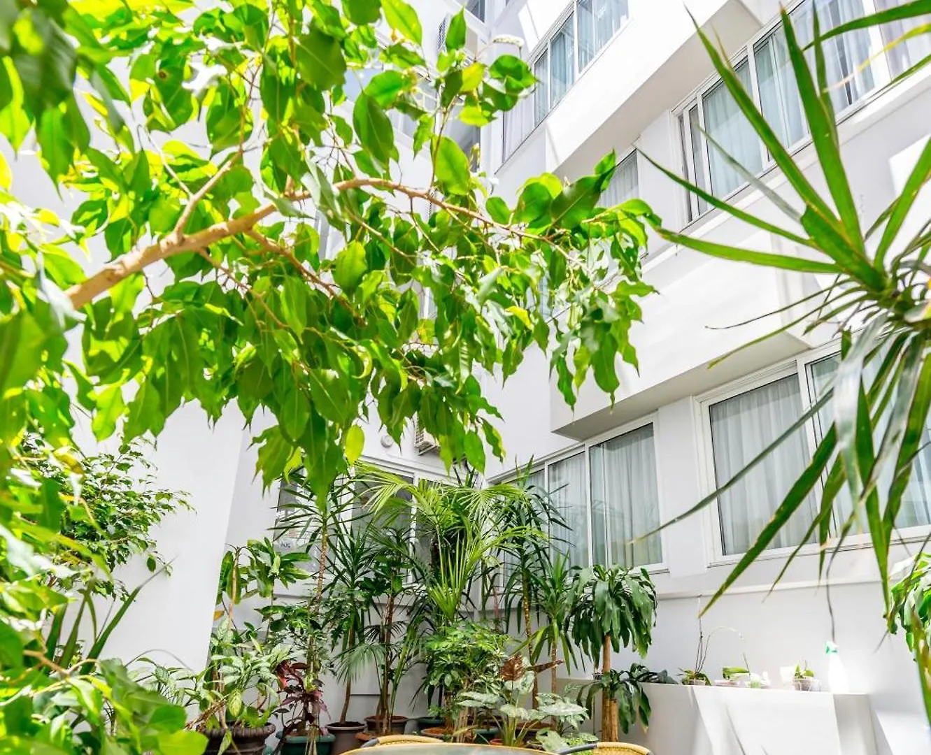 Hotel Madeira Funchal